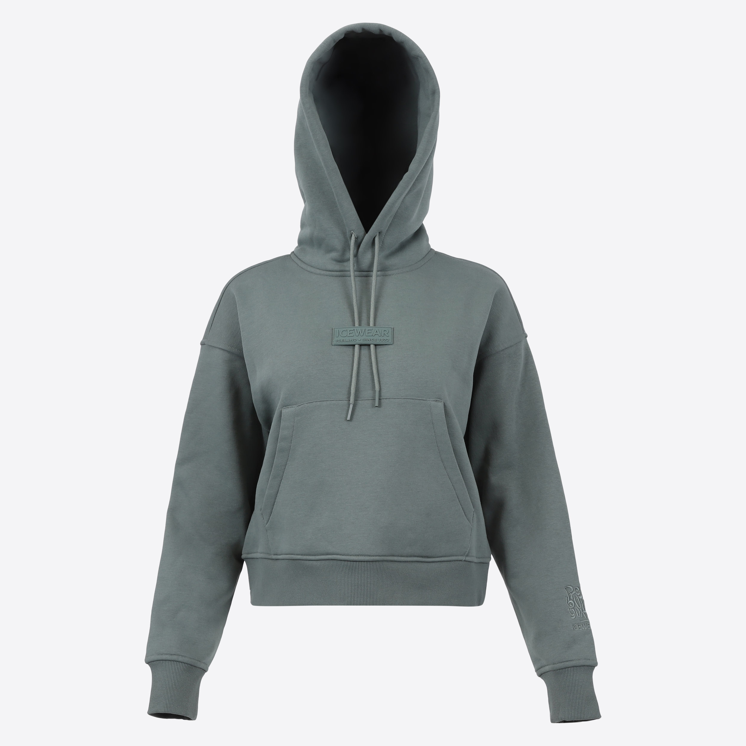 patrikshraun-pbt-cotton-womens-hoodie-iceland-music_188.jpeg
